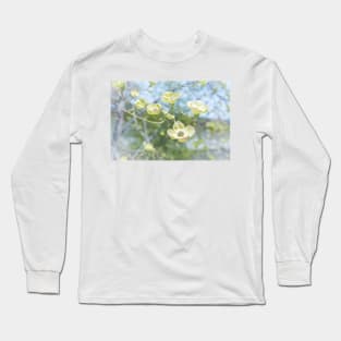 White Flowering Dogwood Blossoms in Springtime Long Sleeve T-Shirt